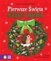 Pierwsze Święta jeżyka Tadzika - Katarzyna Pruszkowska-Sokalla