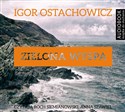 [Audiobook] Zielona wyspa - Igor Ostachowicz