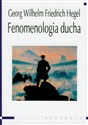 Fenomenologia ducha