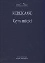 Czyny miłości Kilka rozważań chrześcijańskich w postaci mów S. Kierkegaarda
