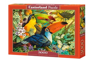 Puzzle Interlude 3000