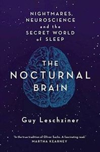 Nocturnal Brain