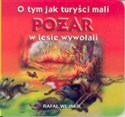 O tym jak turyści mali pożar w lesie wywołali