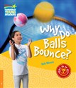 Why Do Balls Bounce? Level 6 Factbook - Rob Moore