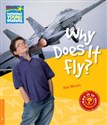 Why Does It Fly? Level 6 Factbook - Rob Moore