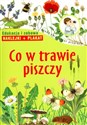 Co w trawie piszczy