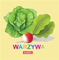 Warzywa książeczka harmonijka