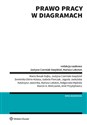 Prawo pracy w diagramach - Dominika Dörre-Kolasa, Małgorzata Mędrala, Izabela Florczak, Marcin Mielczarek, Mariusz Lekston, Kat