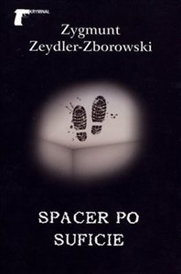 Spacer po suficie