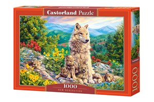 Puzzle New Generation 1000 C-104420