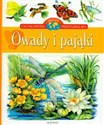 Owady i pająki Encyklopedia wiedzy przedszkolaka - Aleksandra Stańczewska