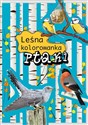 Ptaki Leśna kolorowanka - Opracowanie Zbiorowe