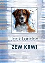 Zew krwi - Jack London