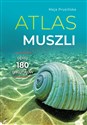 Atlas muszli Opisy 180 gatunków - Maja Prusińska
