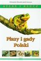 Płazy i gady Polski Atlas i klucz - Aleksander Herczek, Jacek Gorczyca
