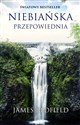 Niebiańska przepowiednia