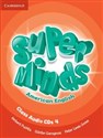 Super Minds American English 4 Class Audio CD