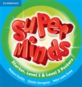 Super Minds Starter-Level 2 Posters (15) 