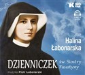 [Audiobook] Dzienniczek św. Siostry Faustyny