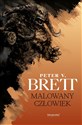 Cykl demoniczny Księga 1 Malowany człowiek - Peter V. Brett