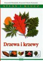 Drzewa i krzewy Atlas i klucz - Krzysztof Rostański, Krzysztof Marek Rostański