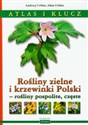 Rośliny zielne i krzewinki Polski rośliny pospolite, częste Atlas i klucz - Andrzej Urbisz, Alina Urbisz