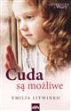 Cuda są możliwe