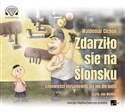 [Audiobook] Zdarziło sie na Ślonsku Łopowieści niysamowite niy ino dlo bajtli