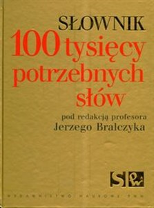 Słownik 100 tysięcy potrzebnych słów  - Księgarnia Niemcy (DE)