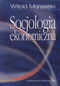 Socjologia ekonomiczna Problemy, teoria, empiria - Witold Morawski