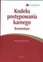 Kodeks postępowania karnego Komentarz - Wincenty Grzeszczyk