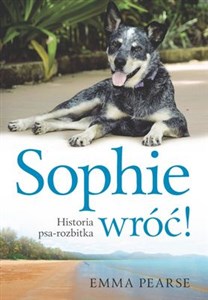 Sophie wróć! Historia psa-rozbitka