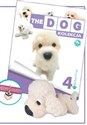 Bichon Frise - 