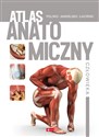 Atlas anatomiczny człowieka - Opracowanie Zbiorowe