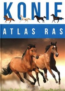 Konie Atlas ras