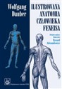 Ilustrowana anatomia człowieka Feneisa - Wolfgang Dauber