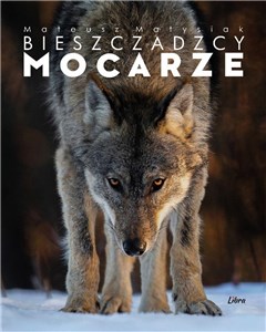 Bieszczadzcy mocarze