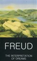 The Interpretation of Dreams - Sigmund Freud