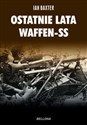 Ostatnie lata Waffen-SS
