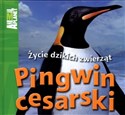 Pingwin cesarski Życie dzikich zwierząt - Meredith Costain