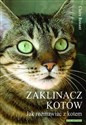 Zaklinacz kotów Jak rozmawiac z kotem - Claire Bessant