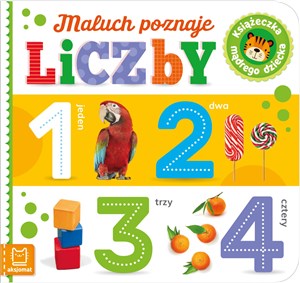 Maluch poznaje liczby. Książeczka mądrego dziecka 