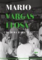 Rozmowa w Katedrze - Llosa Mario Vargas