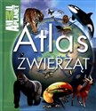 Atlas zwierząt Animal Planet - Jinny Johnson