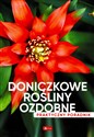 Doniczkowe rośliny ozdobne. Poradnik praktyczny