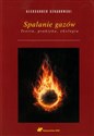 Spalanie gazów Teoria, praktyka, ekologia - Aleksander Szkarowski