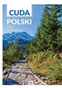 Cuda Polski Parki narodowe