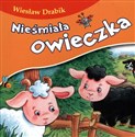 Nieśmiała owieczka