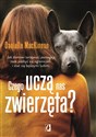 Czego uczą nas zwierzęta? Jak domowi terapeuci pomagają nam pozbyć się ograniczeń i stać się lepszymi ludźm - Danielle MacKinnon