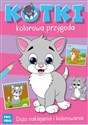 Kotki - kolorowa przygoda